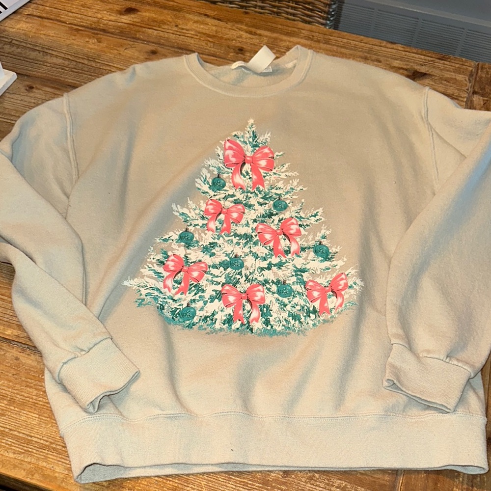 Altar'd State Soft Green Sweatshirt